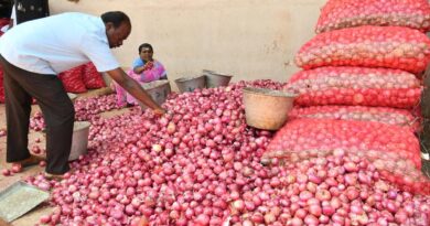 Onion farmers distress in Manoor mandal due to low market prices