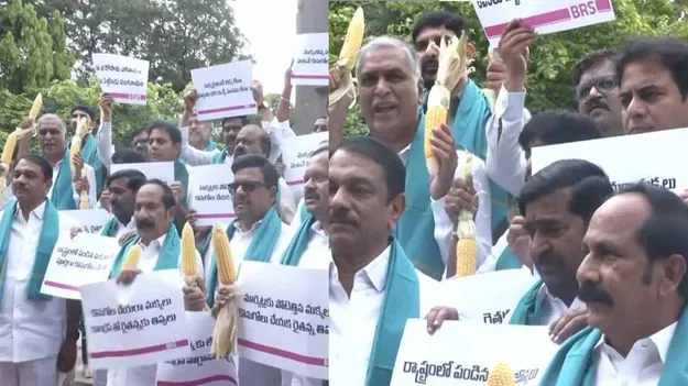 BRS leaders protest at Gun Park demanding MSP for maize farmers