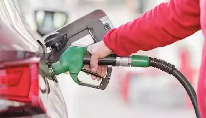 Collector inspects petrol bunk over petrol diesel shortage fears