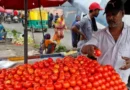 Tomato prices fall, chilli prices rise in Anantapur market yard