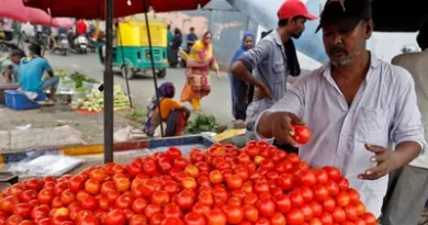 Tomato prices fall, chilli prices rise in Anantapur market yard