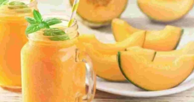 Fresh muskmelon juice in glass with slices, healthy summer drink