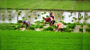 Telangana Rythu Bharosa Scheme new farmers benefit