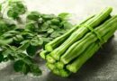 Moringa leaves for BP control and bone strength health benefits