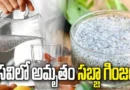 Sabja seeds summer drink for weight loss and body cooling benefits