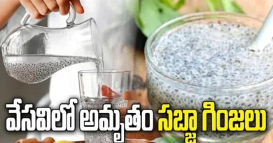 Sabja seeds summer drink for weight loss and body cooling benefits