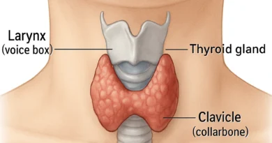 **Alt Text:** Healthy foods recommended for thyroid patients including eggs, fish, yogurt, nuts, seeds, and whole grains arranged on a table with health awareness concept.