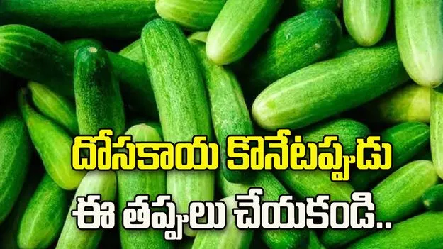 How to choose fresh cucumber and avoid bitter ones