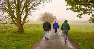 Tai Chi walking for mindful fitness and stress relief