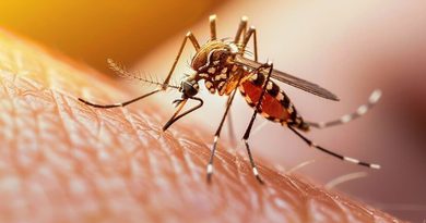 Khairatabad mosquito problem troubles Hyderabad residents