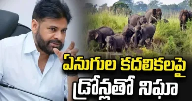 Pawan Kalyan orders alert over elephant movement in Chandragiri