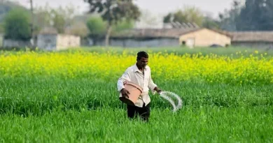 Siddipet farmers struggle with urea shortage and booking app
