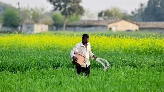 Siddipet farmers struggle with urea shortage and booking app