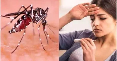 Karimnagar sees rise in dengue, malaria and viral fever cases