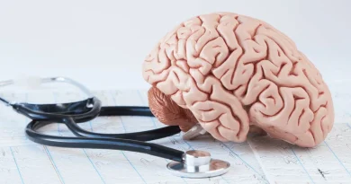Brain health foods for memory and concentration