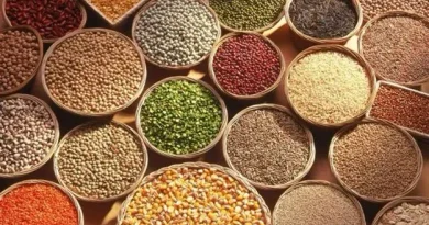 Millets gain popularity as traditional food culture returns in Telangana
