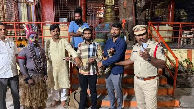 Snake Dance At Hyderabad Ganesh Immersion Triggers Police Action