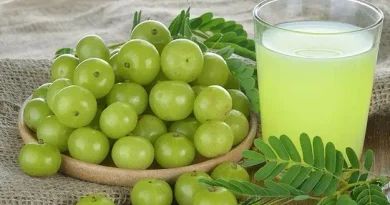 Amla juice benefits for immunity, digestion, skin and hair health