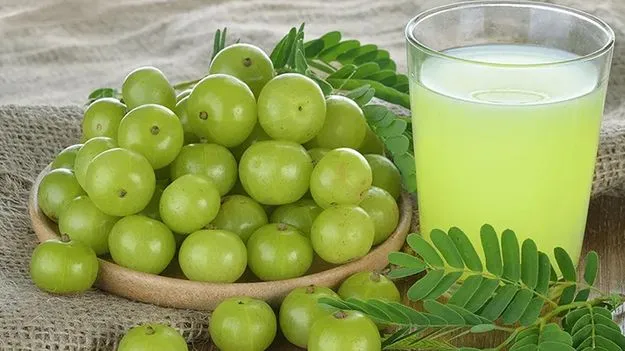 Amla juice benefits for immunity, digestion, skin and hair health